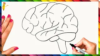 How To Draw The Human Brain Step By Step 🧠 Brain Drawing Easy