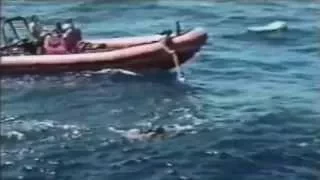 SHARK ATTACK - A Great White Shark Attacks! (Shark Rips Women's Leg Off)