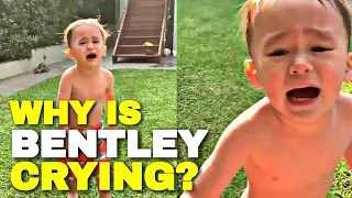 Oh no, why is Bentley crying?| Bentley ad William moments