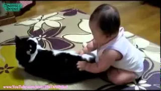 Лучшая подборка Кошки и Дети!Приколы с Детьми!   Funny Videos Cats and Kids! flv