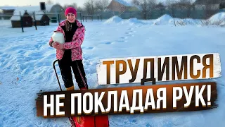 Любимой работы - Много не бывает. Тратим и тут же зарабатываем на ферме | Молодая Ферма