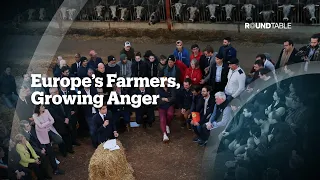 Europe's Farmer Protests: Can they win their fight?