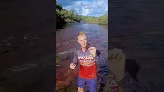 Una de las 7 maravillas del mundo, Caño Cristales 🇨🇴