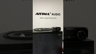 AIYIMA Subwoofer Amplifier S01