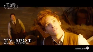 Fantastic Beasts And Where To Find Them ['Magical Reviews' TV Spot in HD (1080p)]