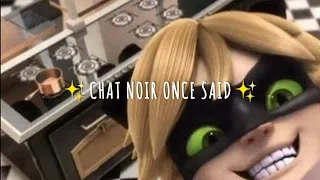 chat noir once said! | ft. my subscribers