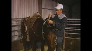 The Art of Training the Calf Roping Horse