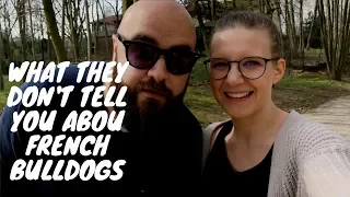 What they don't tell you about French Bulldogs - Before getting a puppy!!