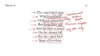 I Know Why The Caged Bird Sings Explained