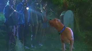 Scooby-Doo E Seus Amigos Vão Ao Cemitério Investigar  | Scooby-Doo: O Mistério Começa (2009) DUBLADO