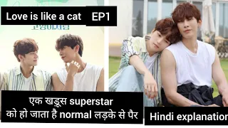 #thaibl #kdrama #loveislikeacat #tharntype #ep1 #hindiexplained #Mew #suppasitchannel