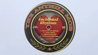 The Anthill Mob - Enchanted Rhythms // Love Peace And Unity Recordings (1997)