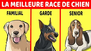 Comment Choisir La Race De Chien Parfaite Pour Toi