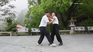 功法3 太極拳散手對打之發勁｜台灣武術 Gung Fu｜Tai Chi Gungfu｜