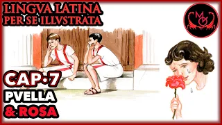 Lingua Latina Per Se Illustrata Cap.7 Puella & Rosa | LLPSI FAMILIA ROMANA