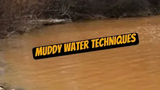 Muddy Water…These 3 Tips Will Double Your Success Rate…