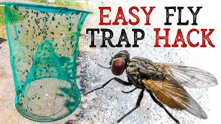 Catch FLIES in LESS THAN ONE HOUR | Pro Crabber Shares Insane Results