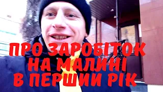 Скільки плануємо заробити на малині в перший рік після посадки. Бізнес на малині.