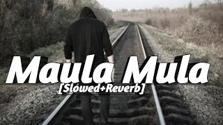 Maula Mula[Slowed+Reverb]||Awarapan||Emraan Hashmi, Shriya Saran||Rafaqat Ali Khan||Lofi||
