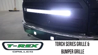 In the Garage™ with Performance Corner®: T-Rex Grilles Torch Series Grille