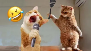 Best Funny Dogs and Cats Videos🤔Funniest Animal videos 2024😻🐕‍🦺Part 9