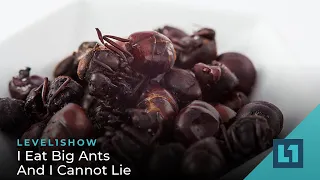 The Level1 Show January 13 2023: I Eat Big Ants And I Cannot Lie