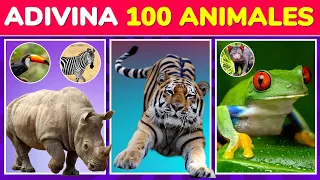 Adivina los 100 ANIMALES 🐯  | ¿Cuántos Animales Reconoces 🤨?  - Quiz Animales 🦁🐵🐸
