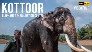 Kottoor Elephant Rehabilitation Centre | Trivandrum | Video Tour