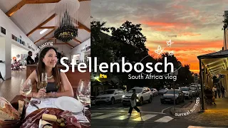 STELLENBOSCH vlog|| wine tasting, Tokara, Spier, Babylonstoren, coffee and dinner