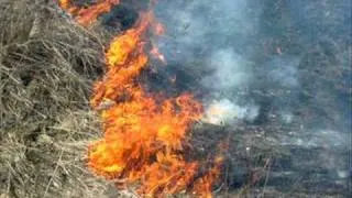 В Качканаре ситуация с пожарами пока спокойная