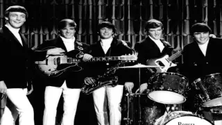 The Dave Clark Five ~ Can't You See That She's Mine (Stereo)