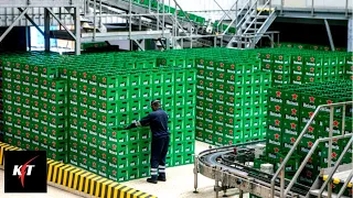 THIS IS HOW THEY MAKE HEINEKEN | AMAZING PRODUCTION