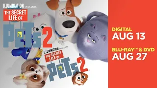 The Secret Life Of Pets 2 | All-New Mini Movies - Now on 4K, Blu-ray, DVD & Digital | Illumination