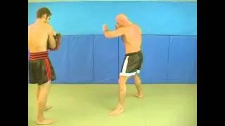 The power of Bas Rutten(HD)