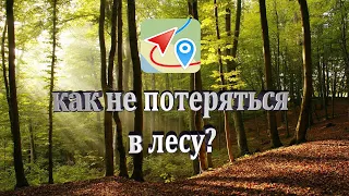 Как не заблудиться в лесу, обзор программы Геотрекер | Review the program Geotreker | как сделать