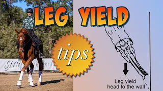 Leg Yield 101 - Everything You Need to Know!