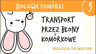 Cytologia 3 - Transport przez błony komórkowe - biologia liceum poziom rozszerzony matura