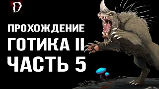 Прохождение: Gothic 2 Ночь Ворона | Охота в Лесу | Часть 5 | DAMIANoNE