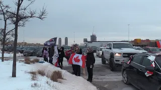 Crowd gathers to cheer on trucker convoy in GTA