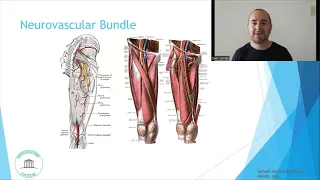 Osteopathic Considerations: Hip External Rotation