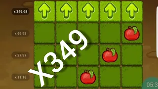 APPLE OF FORTUNE ТАКТИКА 1ХБЕТ. ЛУЧШАЯ СТРАТЕГИЯ НА ЯБЛОЧКИ В 1XBET