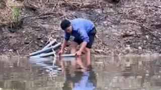 Make a tube to catch golden eel. vegetable gardening / mountain life (EP.14)