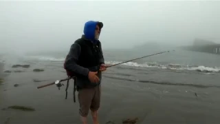 #pier #fishing Pier Fishing at Santa Barbara - Variety of Fish , Halibut Mackarel Ray Calico