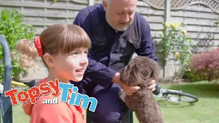 Two dogs & New glasses | Topsy & Tim Double episode 307-308 | HD Full Episodes | Shows for Kids