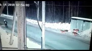 МУЖЧИНА СПАС РЕБЁНКА, НА КОТОРОГО НАБРОСИЛАСЬ УЛИЧНАЯ СОБАКА / A man saved a child from a dog