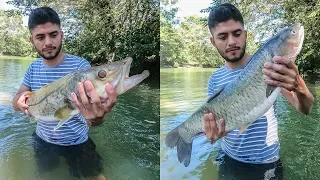 Pesca De Robalos Y Peces Enormes De Río Con Arpón