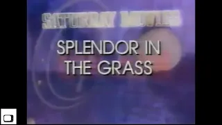 Splendor In The Grass (1981) Remake Movie Preview