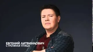 Евгений Литвинкович - Стреляная Птица (Минус)