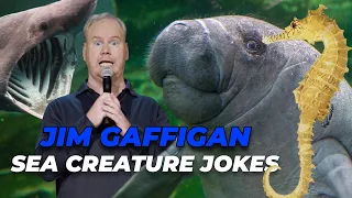 Most Hilarious Sea Creature Stand Up Jokes | Jim Gaffigan
