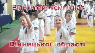 Чемпіонат Вінницької області із Зендокай Карате-До (розділ Боротьба) 2018.
